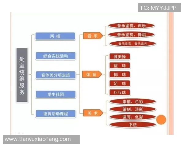 深圳滑板队战术解析与训练方法的深度探讨与实践分享